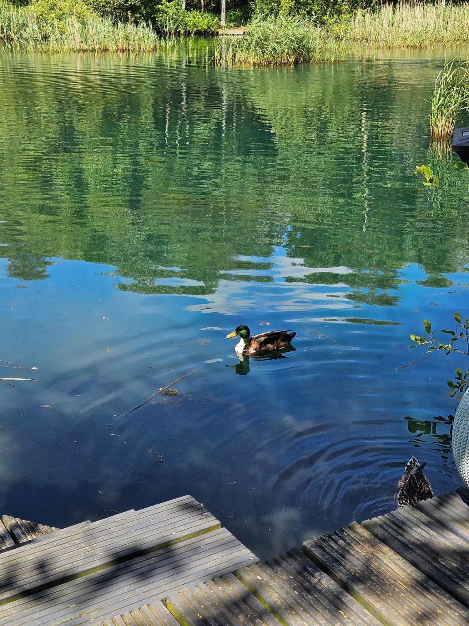 Luxury Lakeside Caravan With Hottub And Private Fishing Peg, Tattershall Lakes מראה חיצוני תמונה